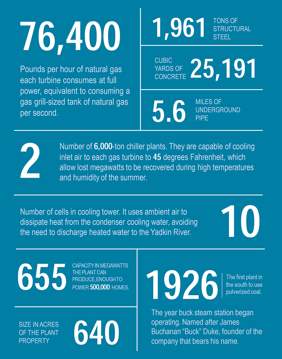 Buck_ByNumbers-930