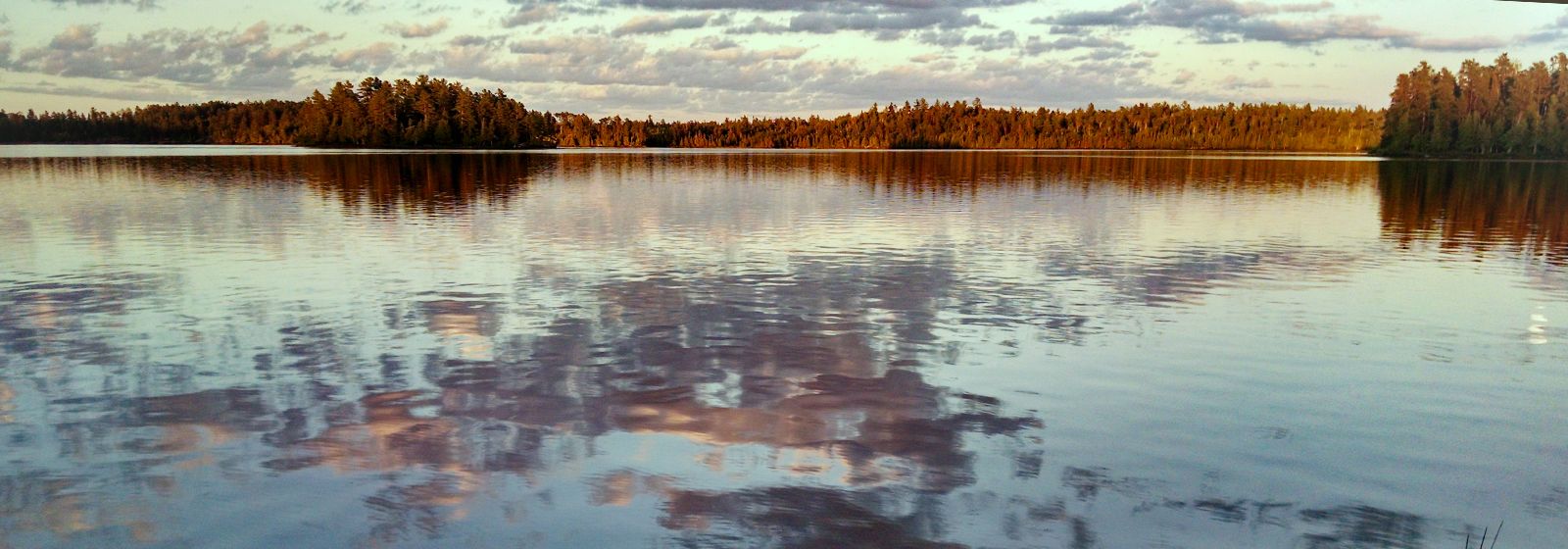 Surviving the drama nature can unleash