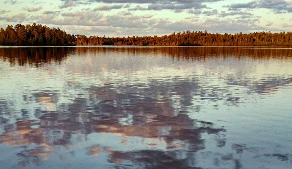 Surviving the drama nature can unleash