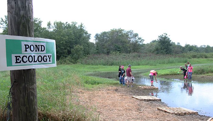 WetlandsPS5