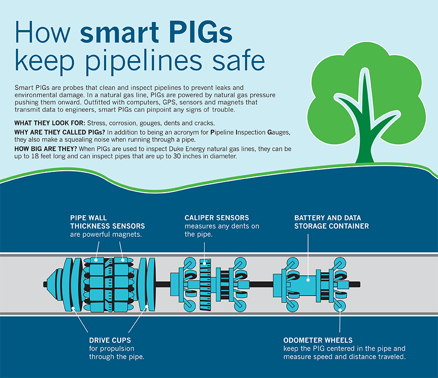 SmartPIGs-Graphic-900