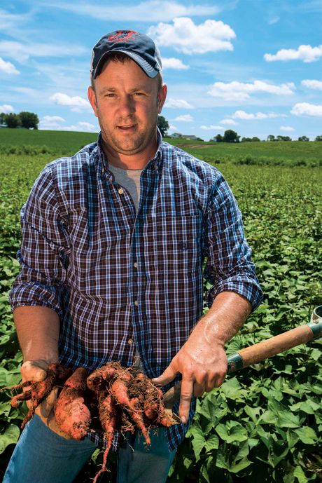 2017-1120SweetPotatoes_400w