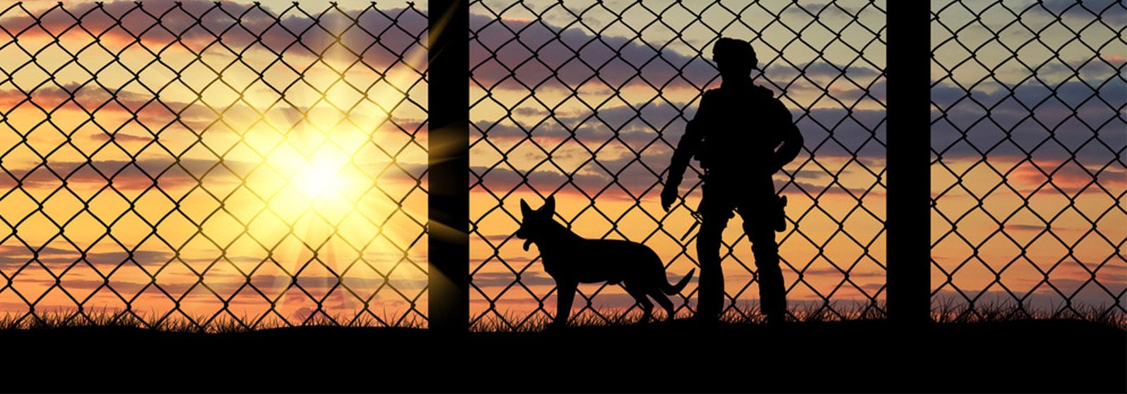 Saluting K9 veterans, the forgotten heroes