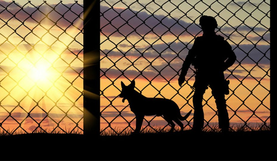 K9Vet-Hero