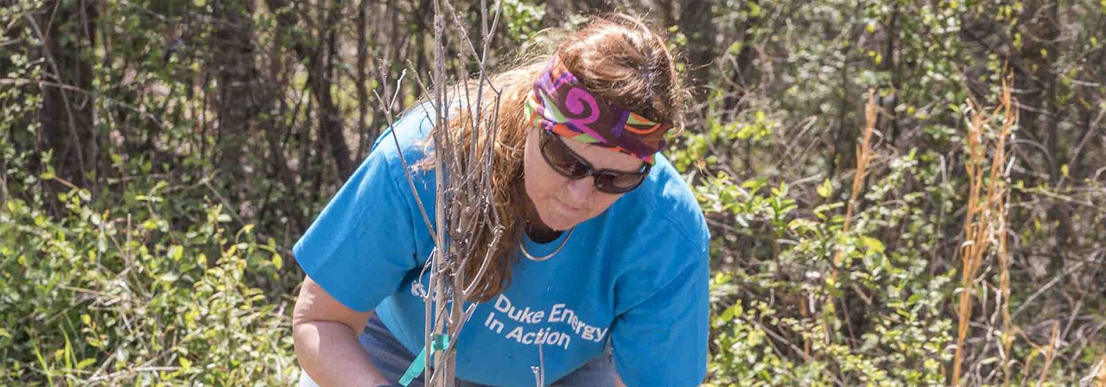 How to plant 500,000 trees: One at a time