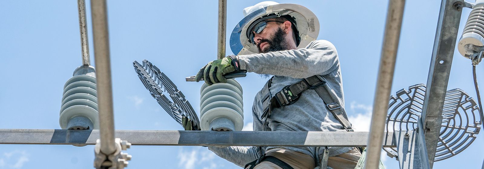 Can energy companies keep critters safe and customers happy?