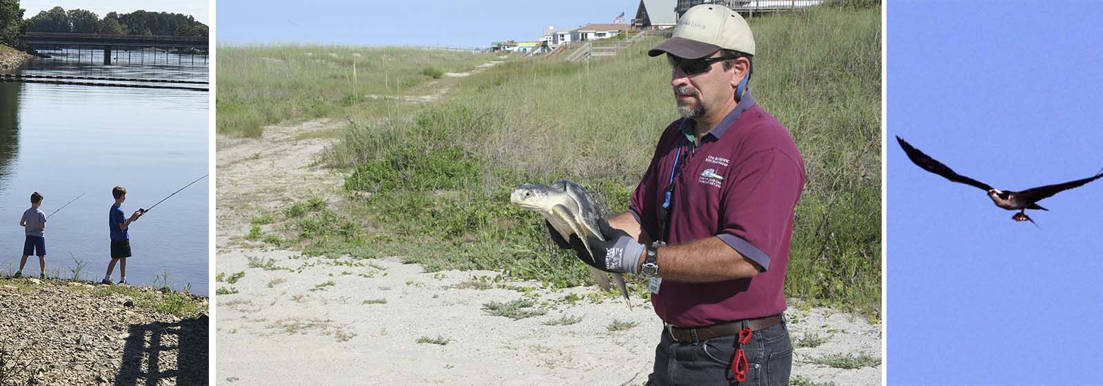 Why nuclear plants are a great place for wildlife