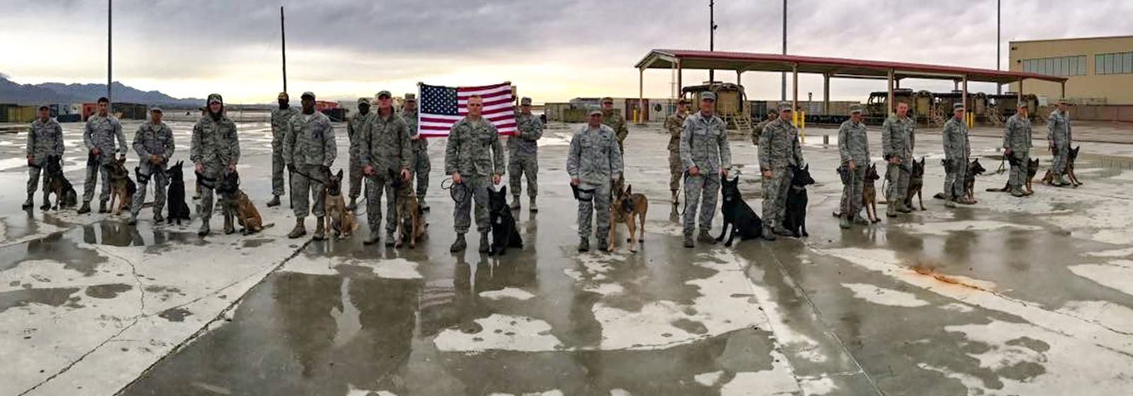 A soldier and the dog that saved his life