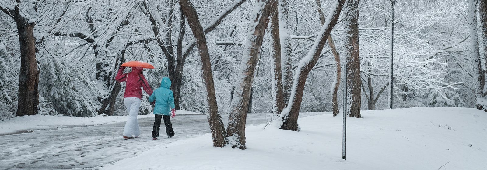 Duke Energy was prepared for January's winter blast
