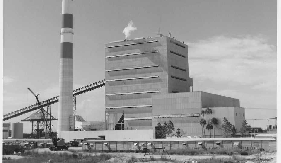 gold dust plant Croton 'Gold Dust' main image 0