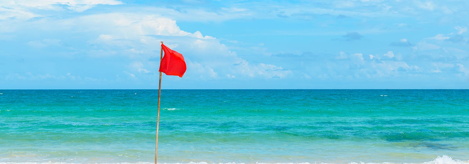 His quick action rescued swimmers from rip current