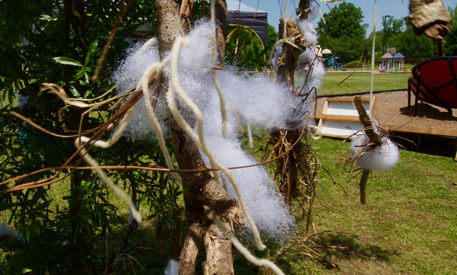 2018-07-10-summer-nest