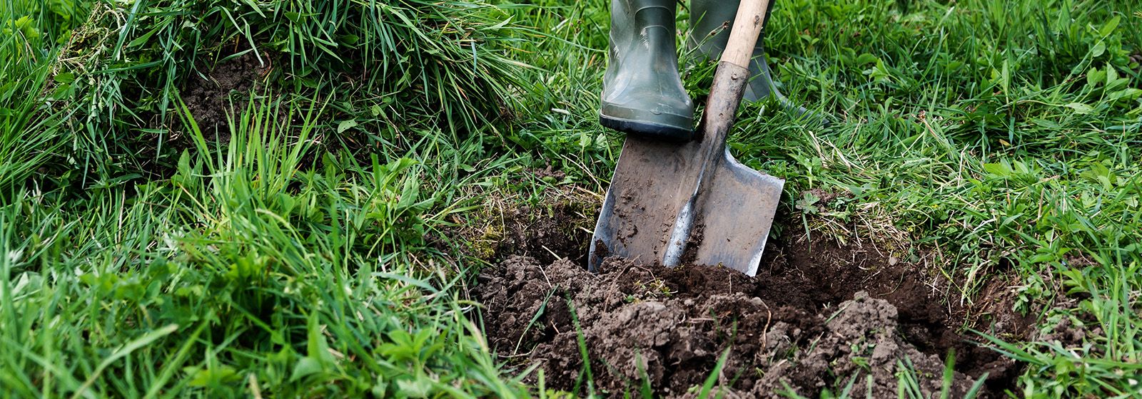 Your Aug. 11 reminder: Before you dig, call 811