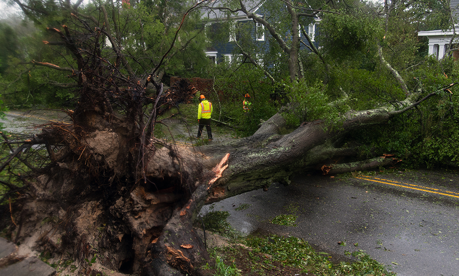 2018-0917-florenceaftermath-TREE