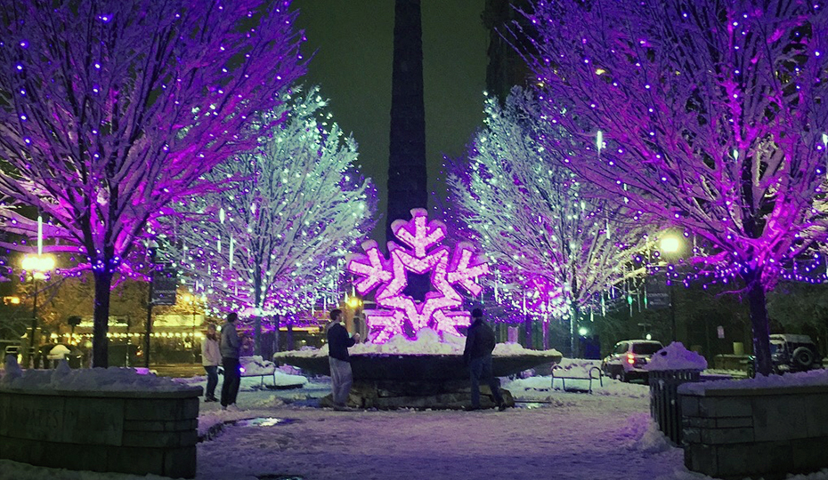 2019-1120-lights-arboretumNC