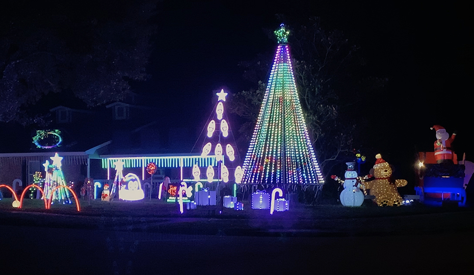 2019-1120-lights-bivonaFL