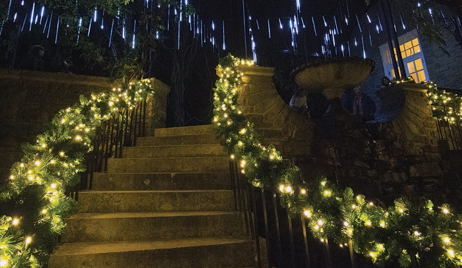 2019-1120-lights-cheekwoodTENN
