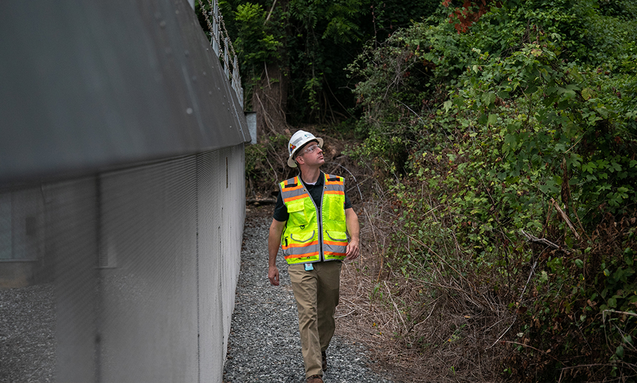 2019-1223-Top-Stories-Vegetation