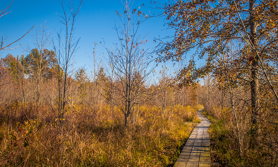2019-0422-Nature-Outings-Beanblossom
