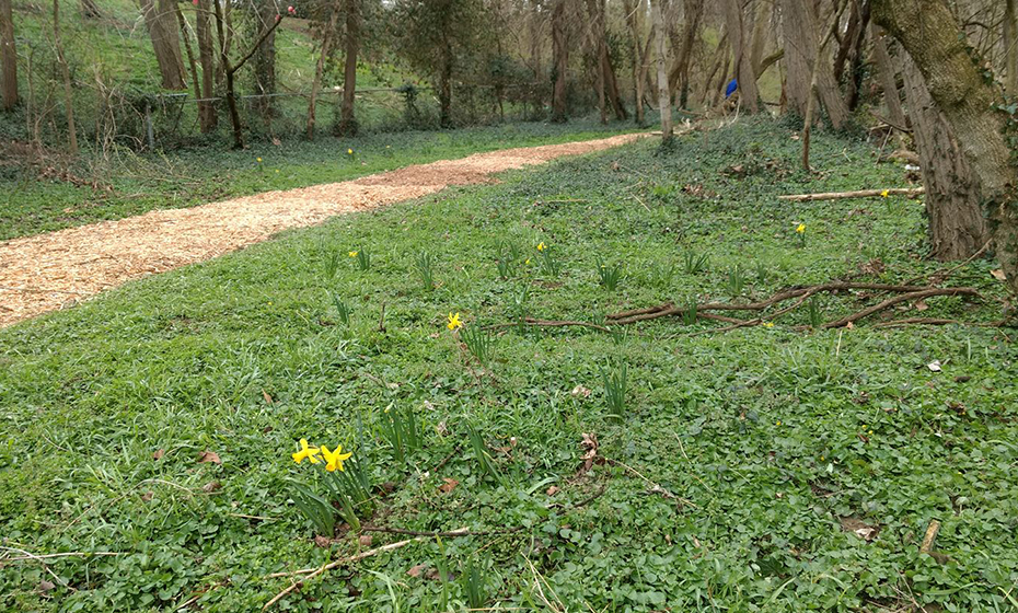 2019-0422-Nature-Outings-Duck-Creek