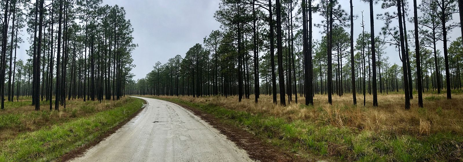 Ideas for your next outdoor adventure