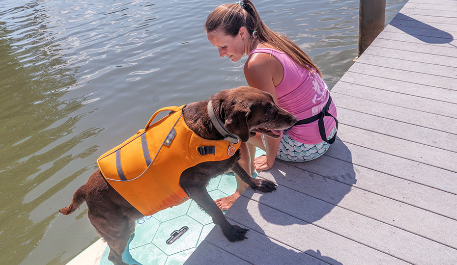 2019-0807-heidi-dog