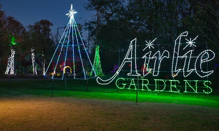 2020-1130-Lights-Roundup-Airlie
