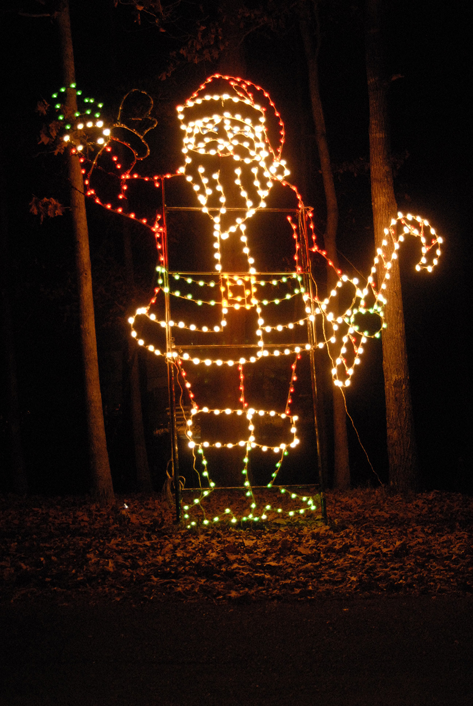 2020-1130-Lights-Roundup-Anderson