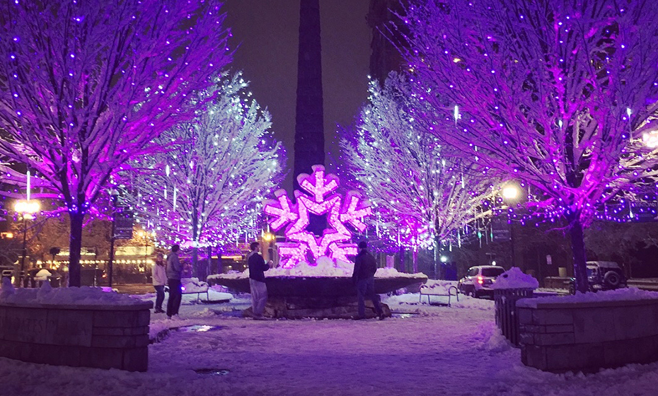 2020-1130-Lights-Roundup-Arboretum