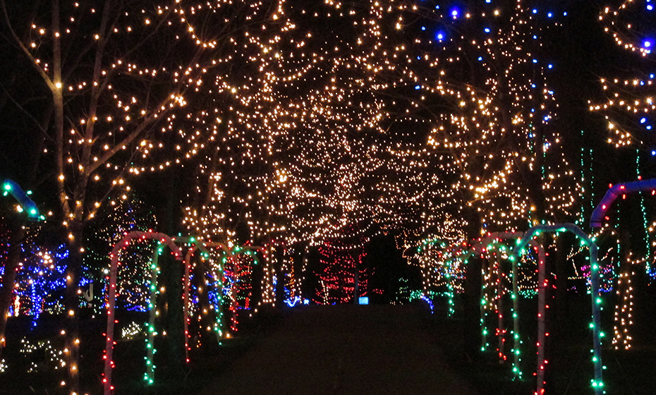2020-1130-Lights-Roundup-Pyramid-Hill