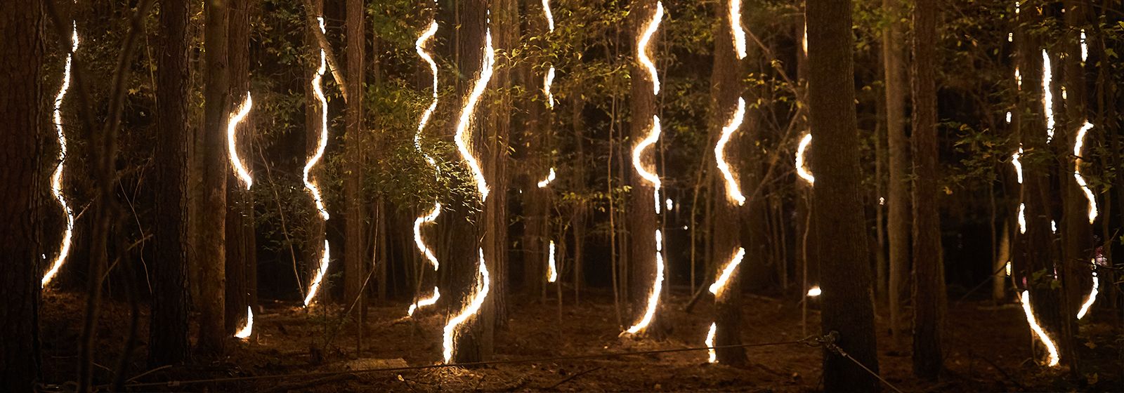Walk through a forest of light at the U.S. National Whitewater Center