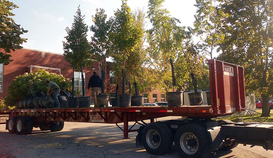 2020-0311-trees-delivery