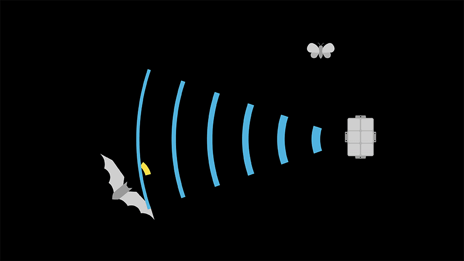 2020-0610-Bat-Deterrent-System