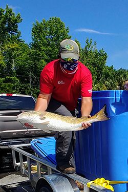 Fish donated to food bank <br> Florida