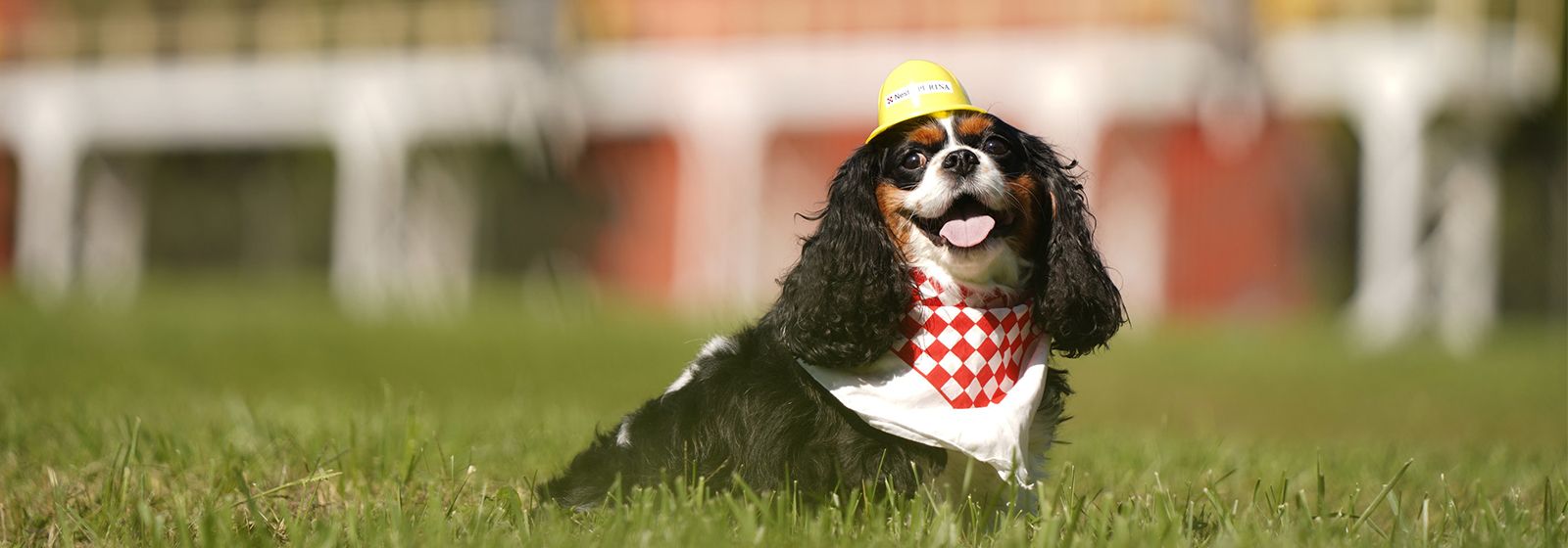 A new home for Nestlé Purina in North Carolina