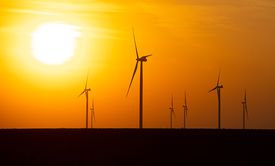 2021-0428-Sustainability-Report-Bats