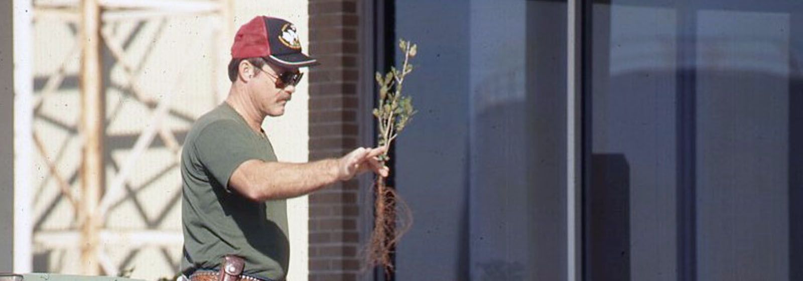 Retro photos: Extending an olive branch?