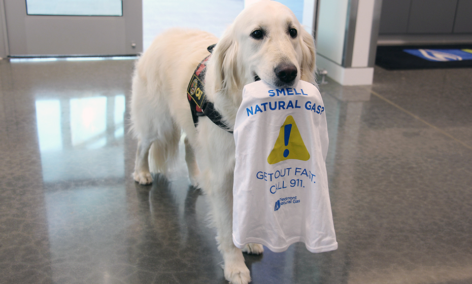 2022-1027-therapy-dog1