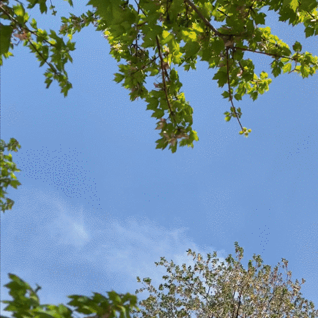 2023-0517-ee-cooking_gif