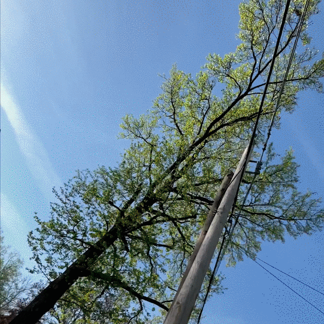 2023-0705-older-leaks-gif