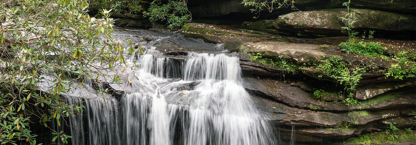 Statewide tour explores South Carolina's natural wonders