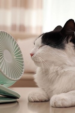 How you can save energy during hot weather