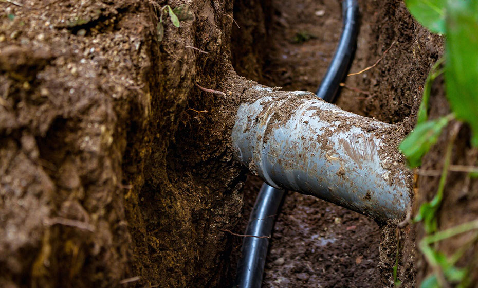 2024-1125-underground-closeup