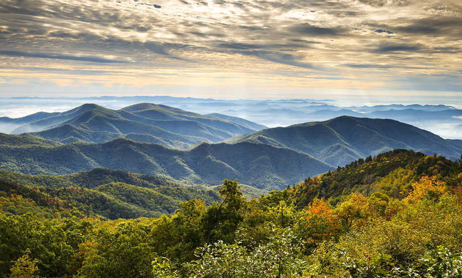 High_Res_Print-shutterstock_124203403