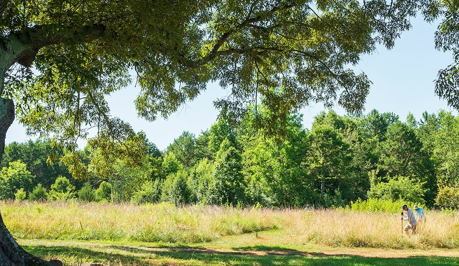 How this dedicated team is protecting our planet