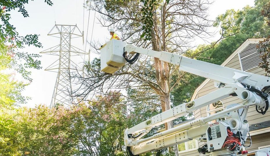 Why Duke Energy trims trees, vegetation near power lines