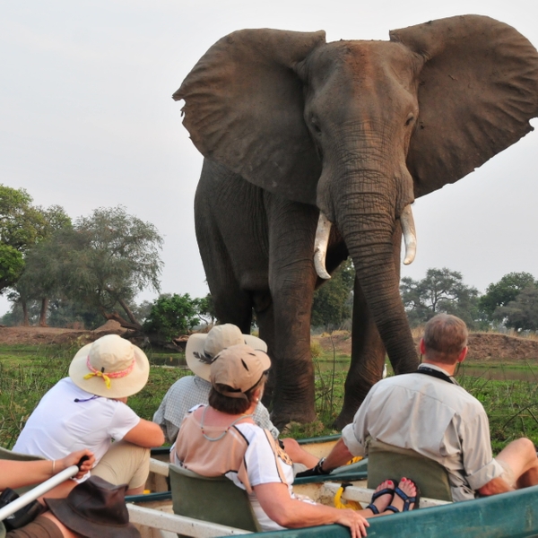 Specialty guides help adventurers get to the right places at the right times such as these travelers who are immersed in the environment as they canoe the Zambezi River in Mana Pools National Park, Zimbabwe.