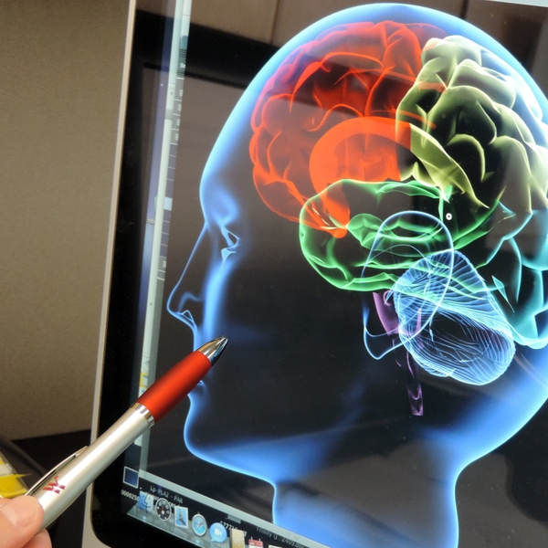 Brain+image+close-up