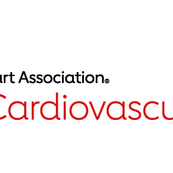 BCVS+Logo