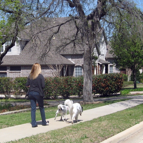 dog+walking+3